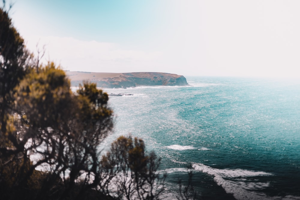 green trees near body of water during daytime