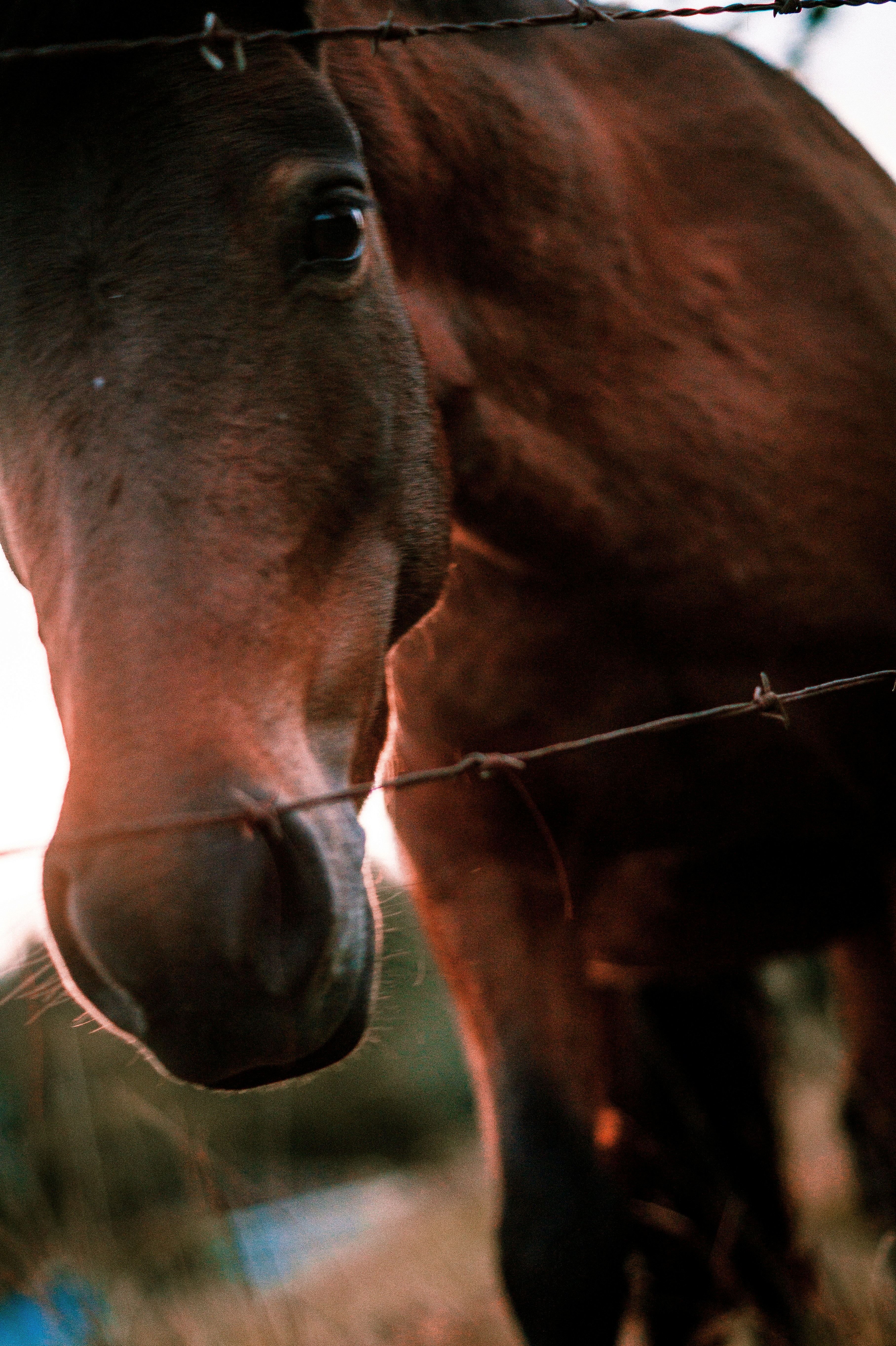 Photo by jmlopezrestrepo