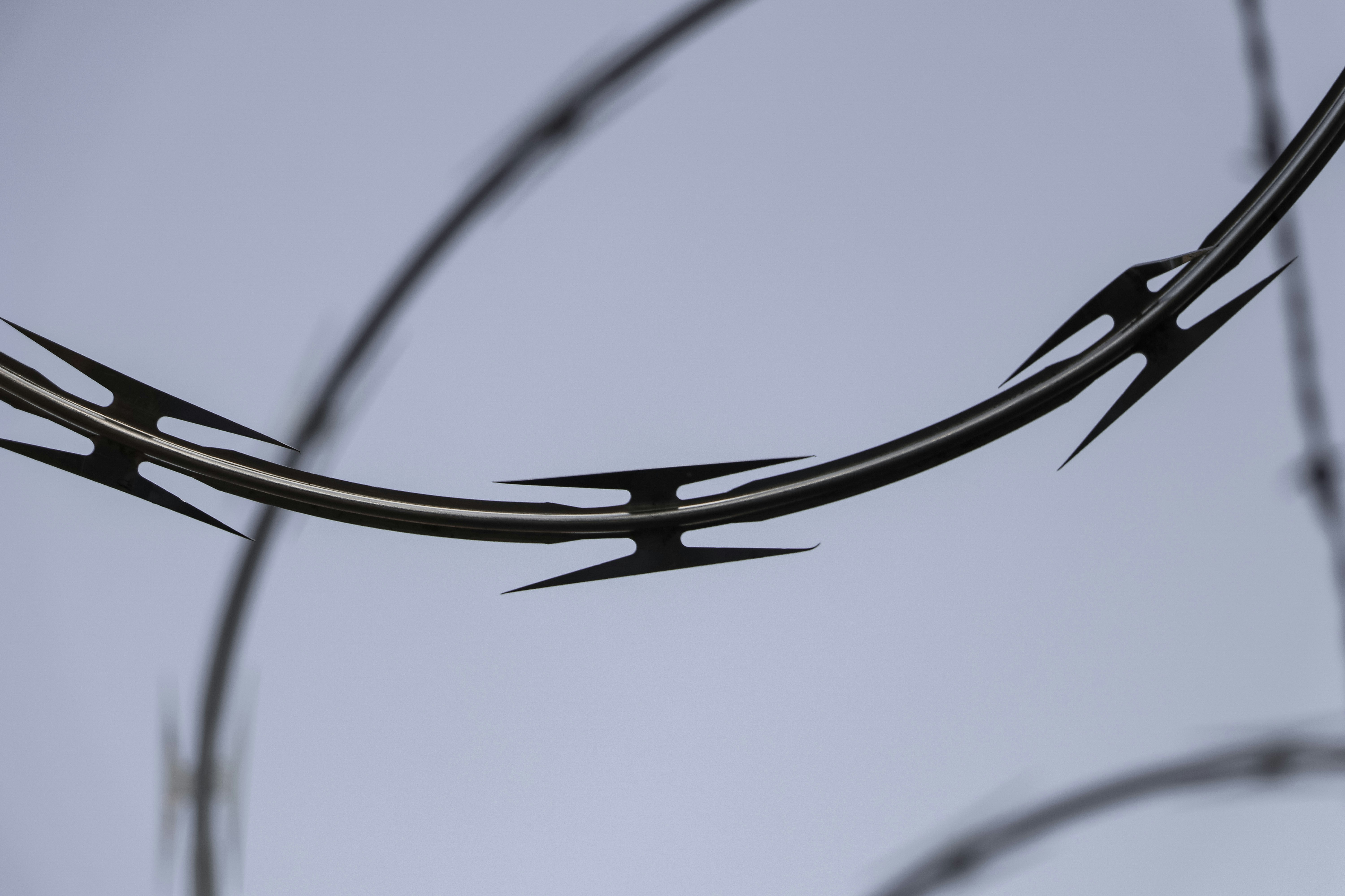 Photo by calebthesharpie