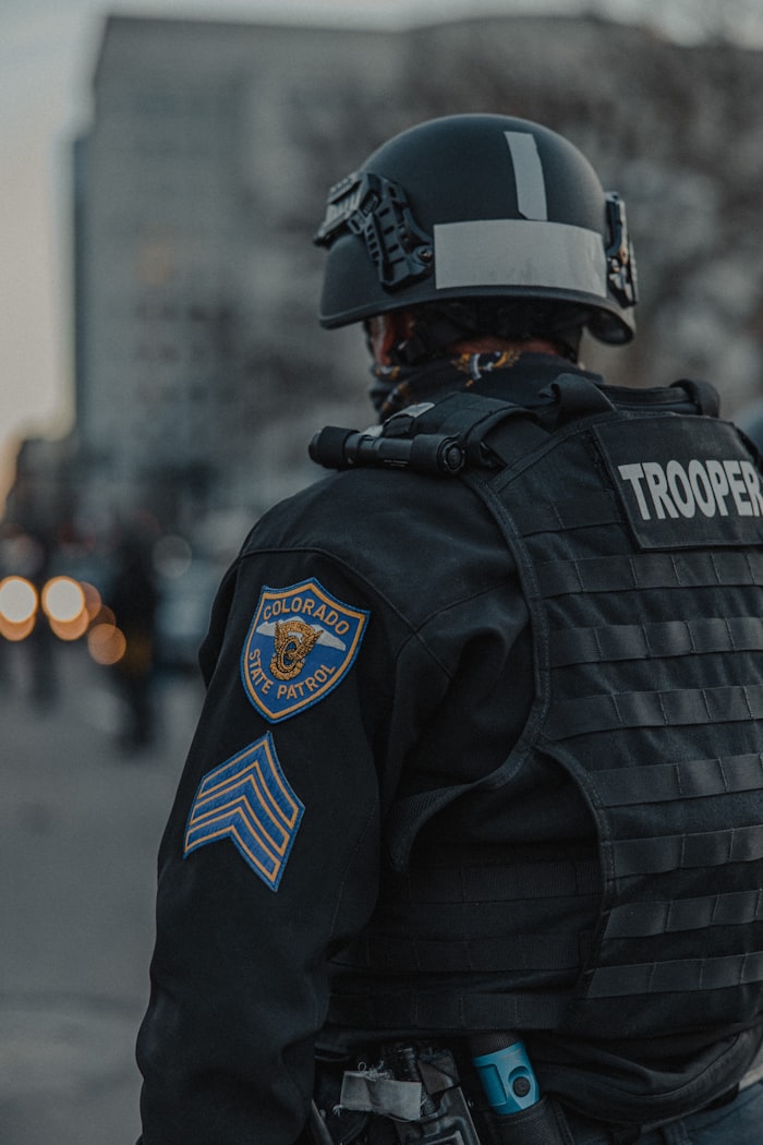 Iron Guard security professional