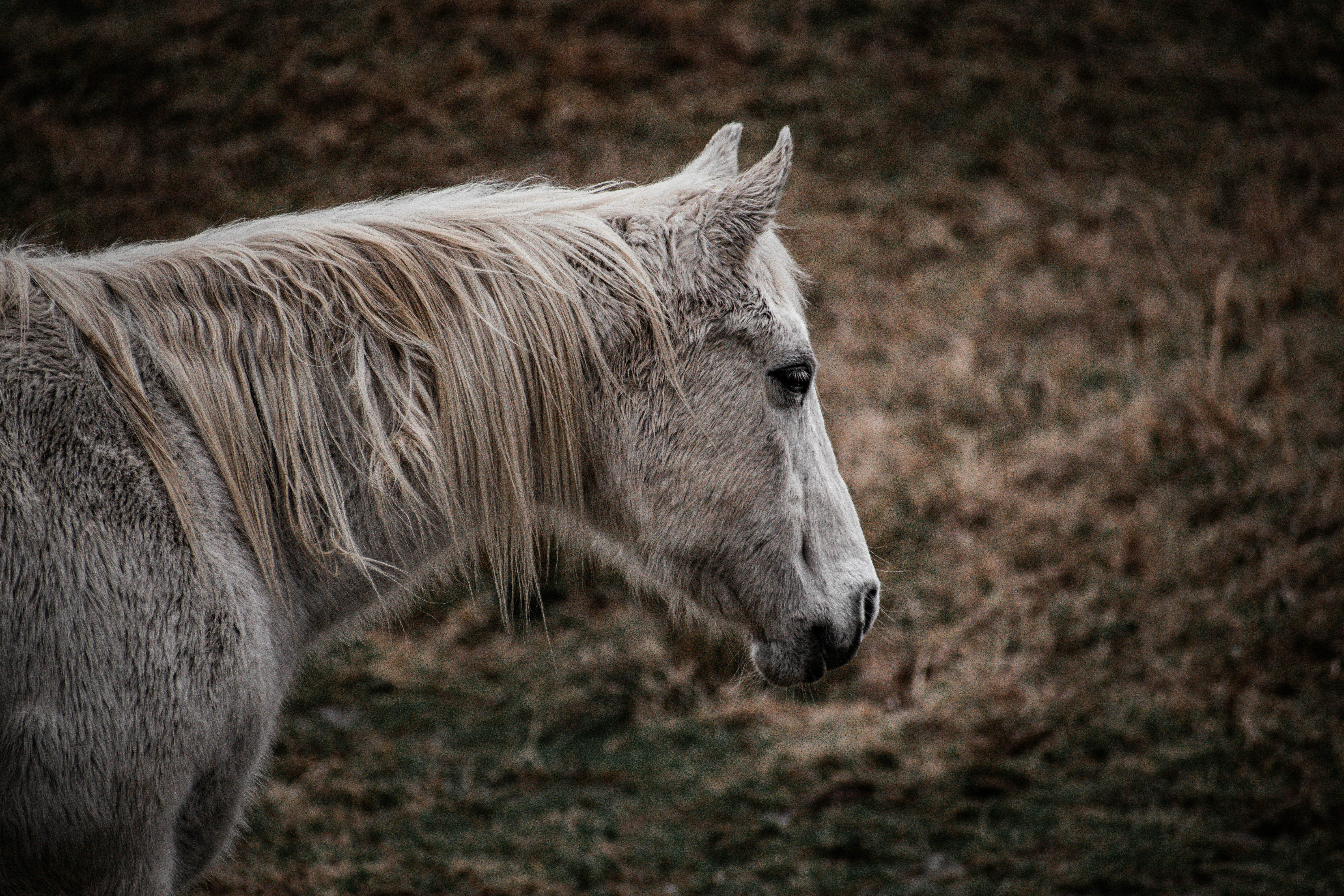 Photo by allys_snapshots