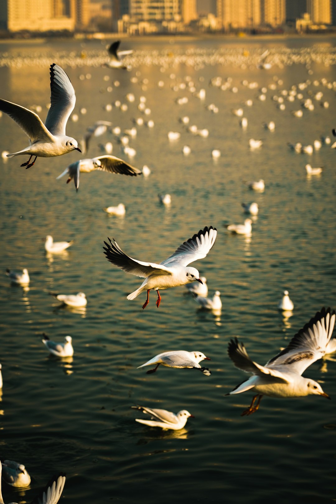 flock of birds flying over body of water during daytime