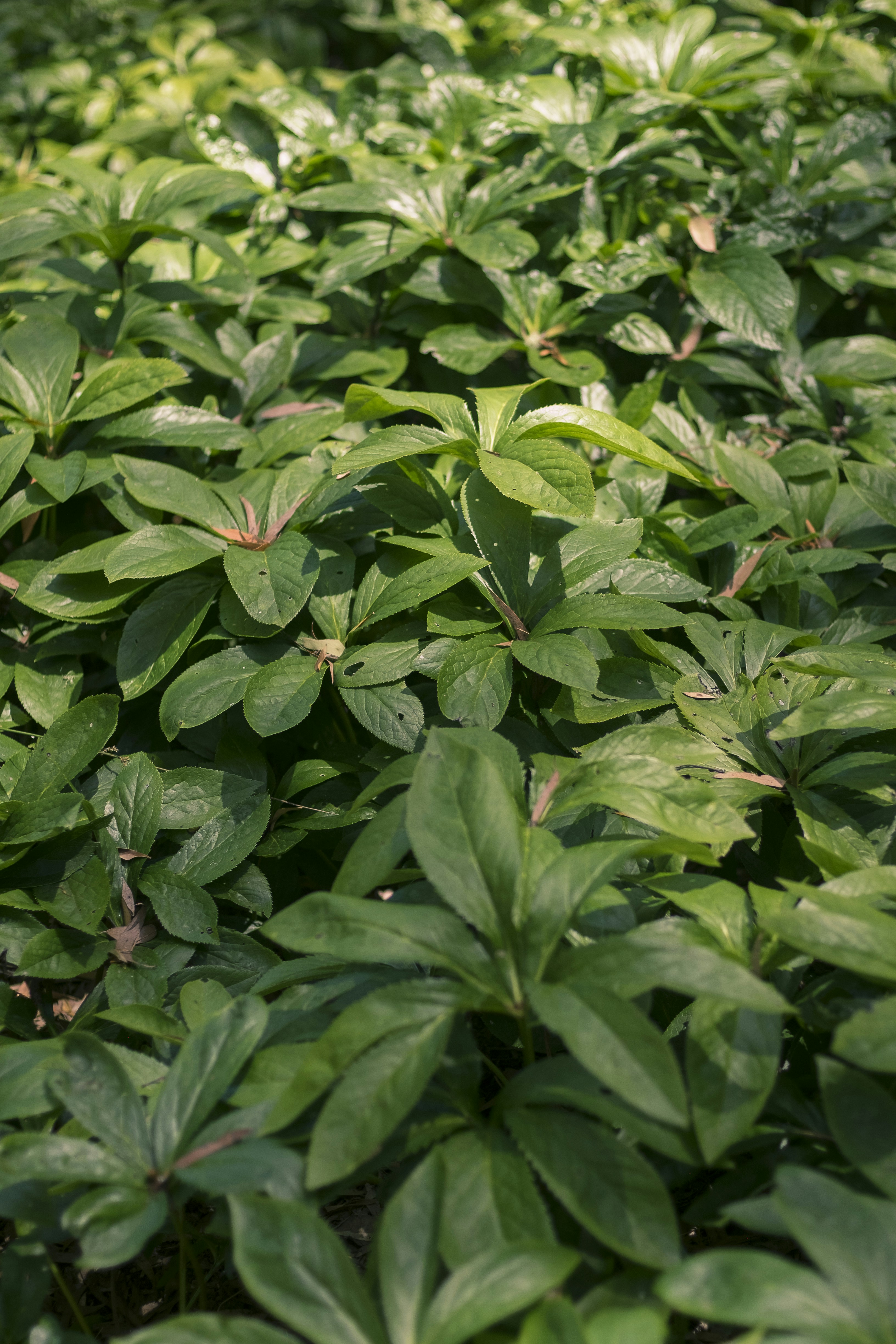 Photo by erikchristensen