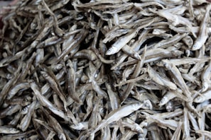 Bulk packaging of dry fish stacked and ready for shipment