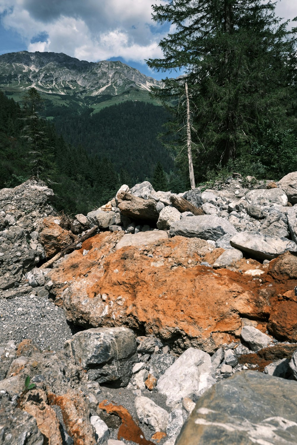 brown rocky mountain with green trees during daytime