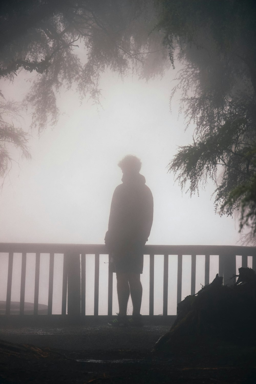 silhouette d’homme debout sur une clôture en bois pendant la journée