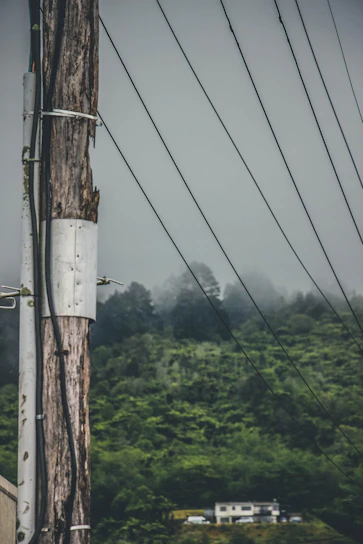 A friendly technician installing fiber optic internet in a rural home surrounded by greenery.