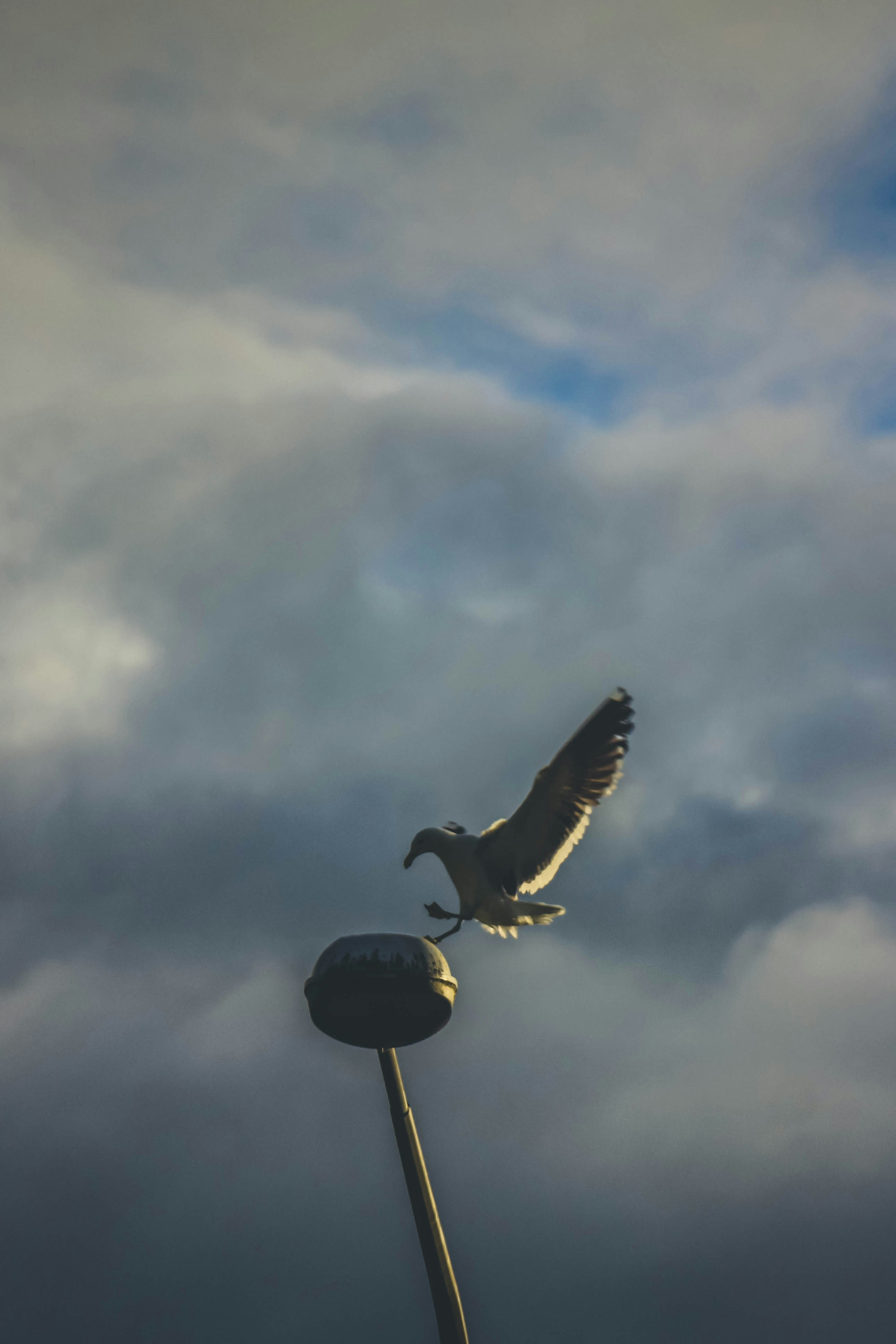 Photo by coffeecurtains