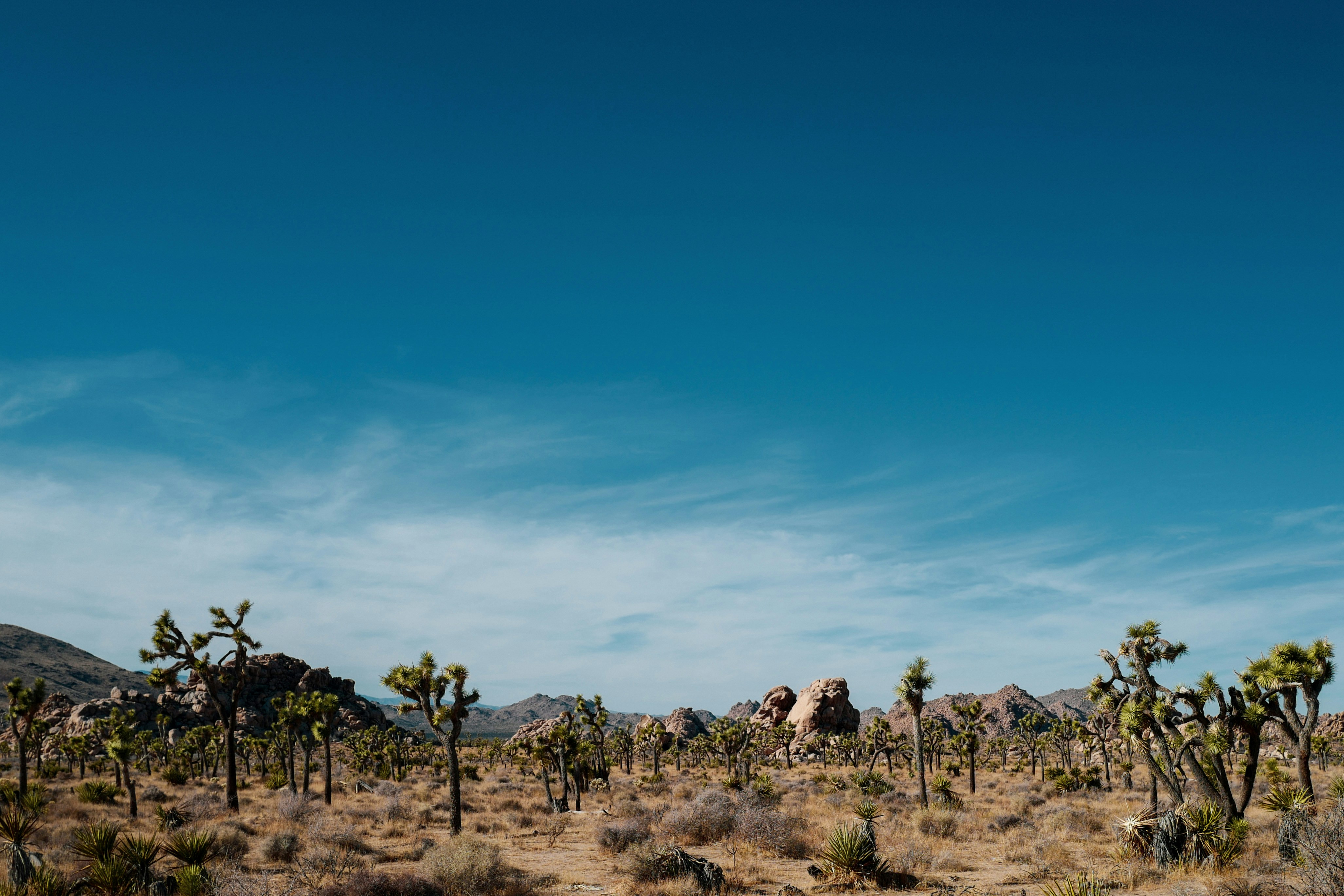 Photo by kekekristen