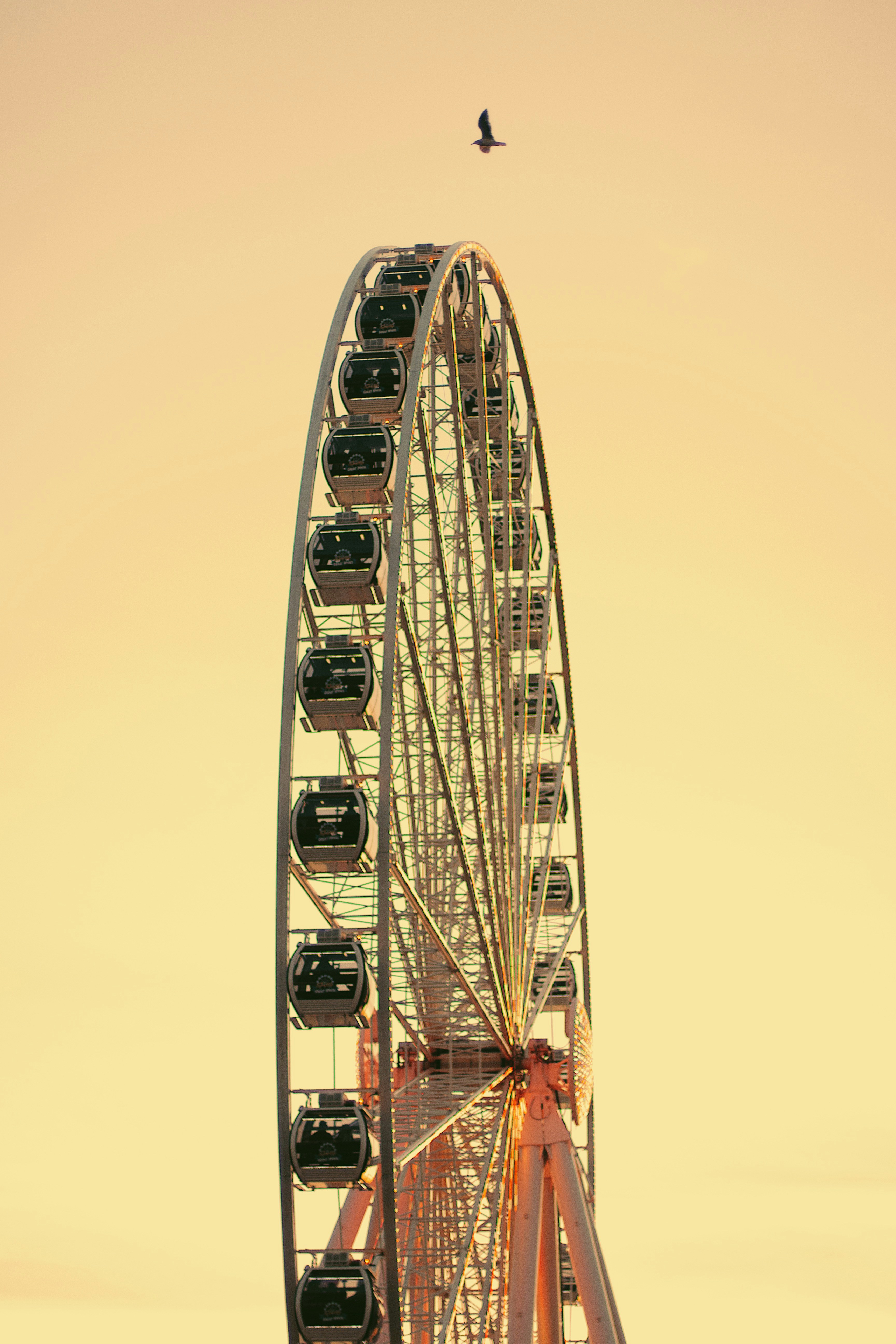 Grande roue rouge et blanche photo – Photo États Unis Gratuite sur Unsplash