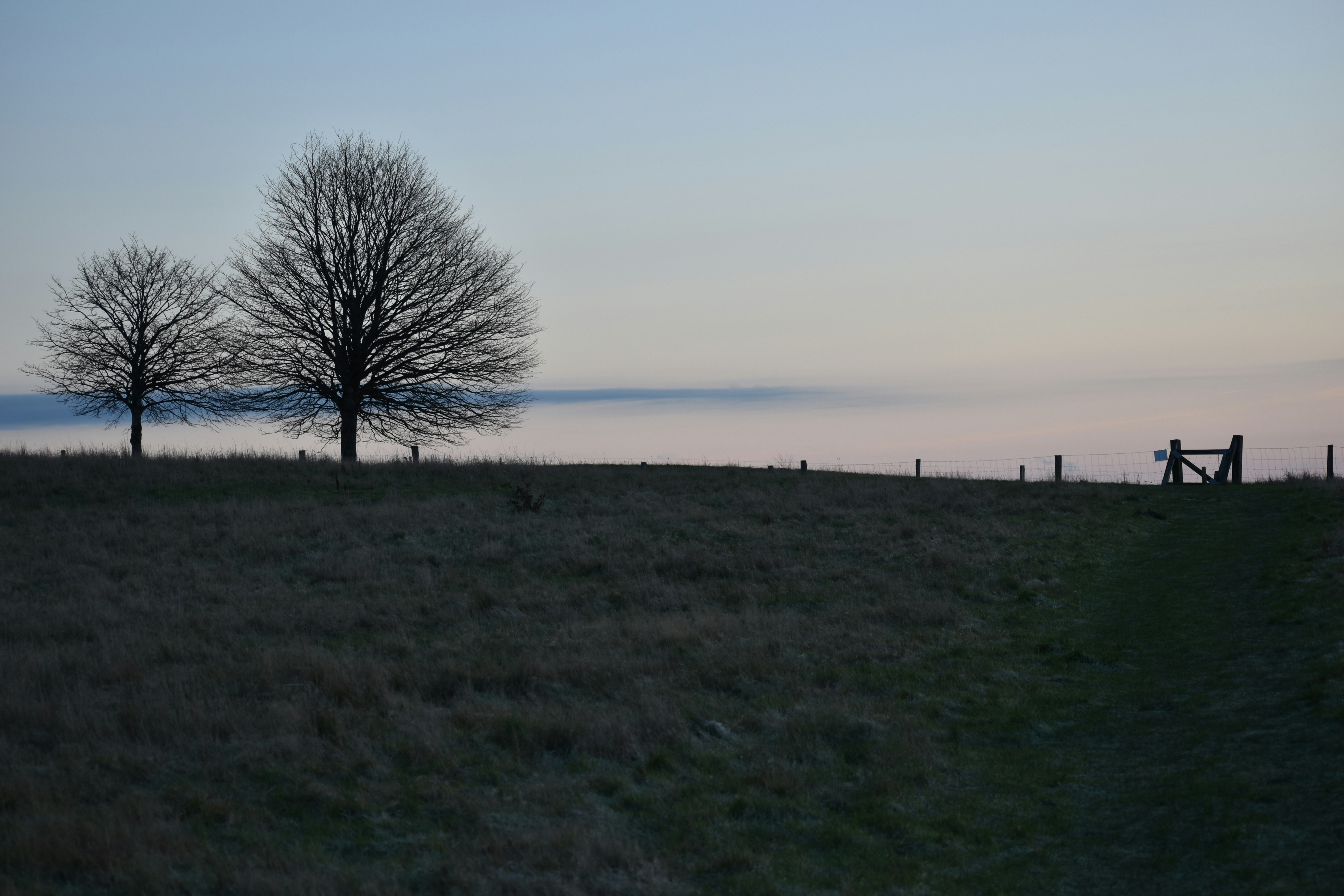 Photo by therikster