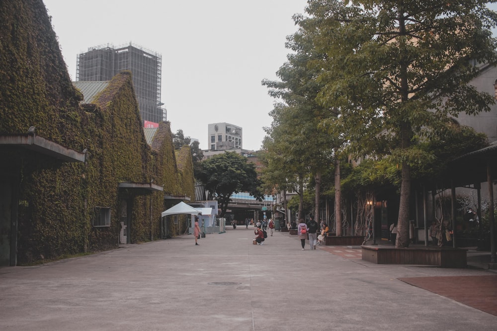 people walking on sidewalk near green trees during daytime