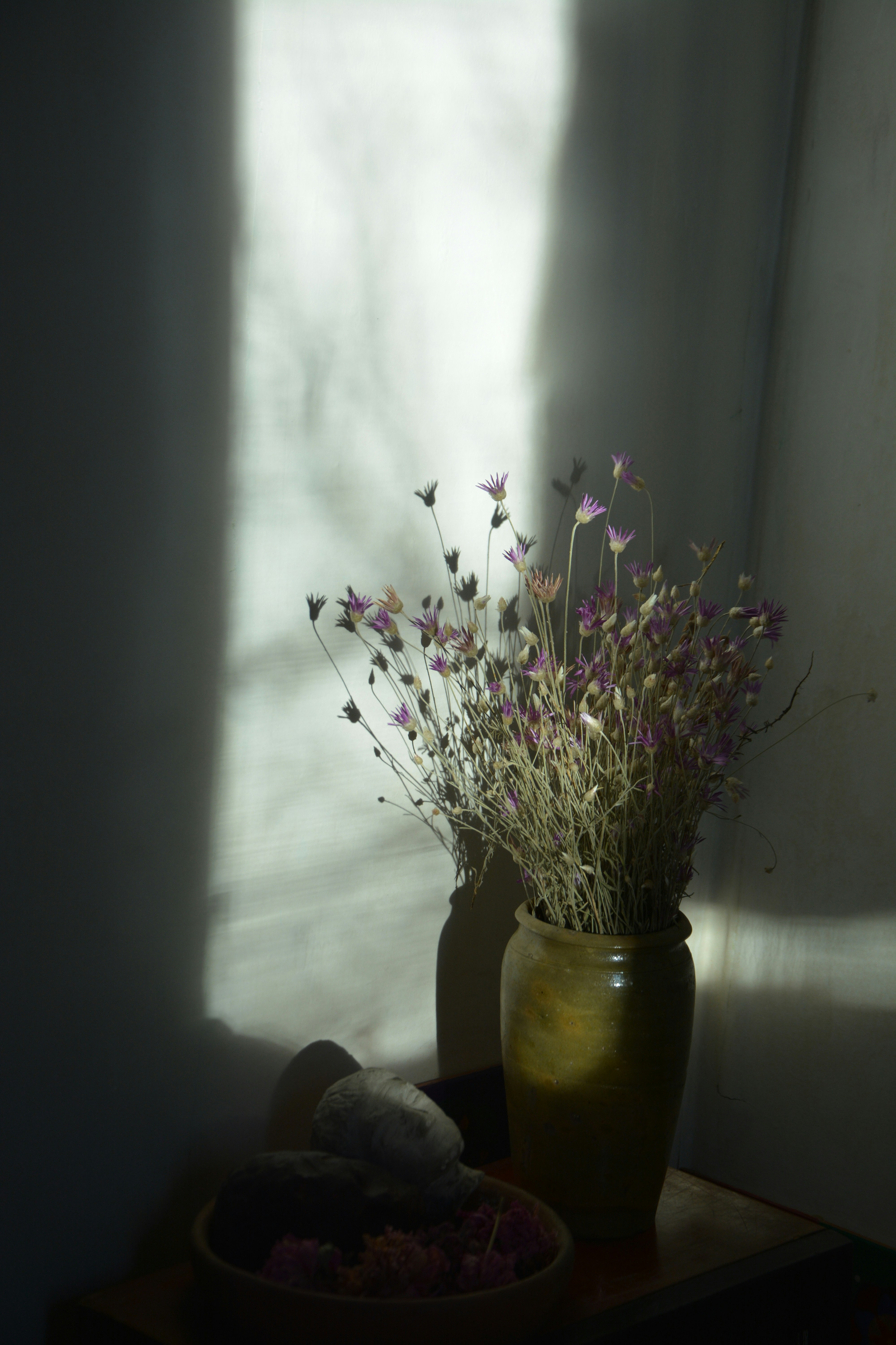 Photo by ekotavkhelidze