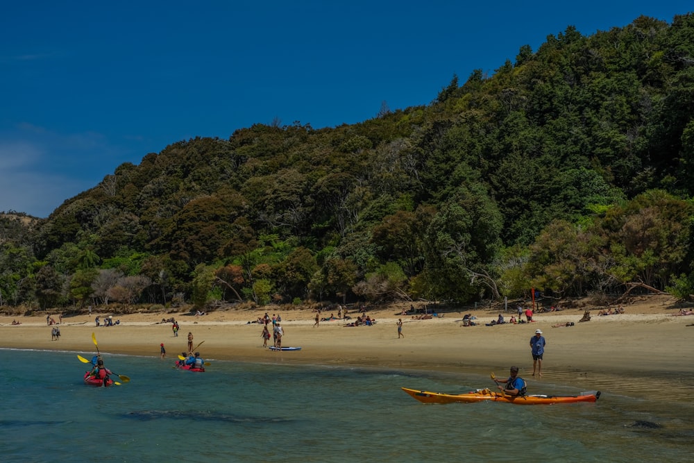 people on beach during daytime