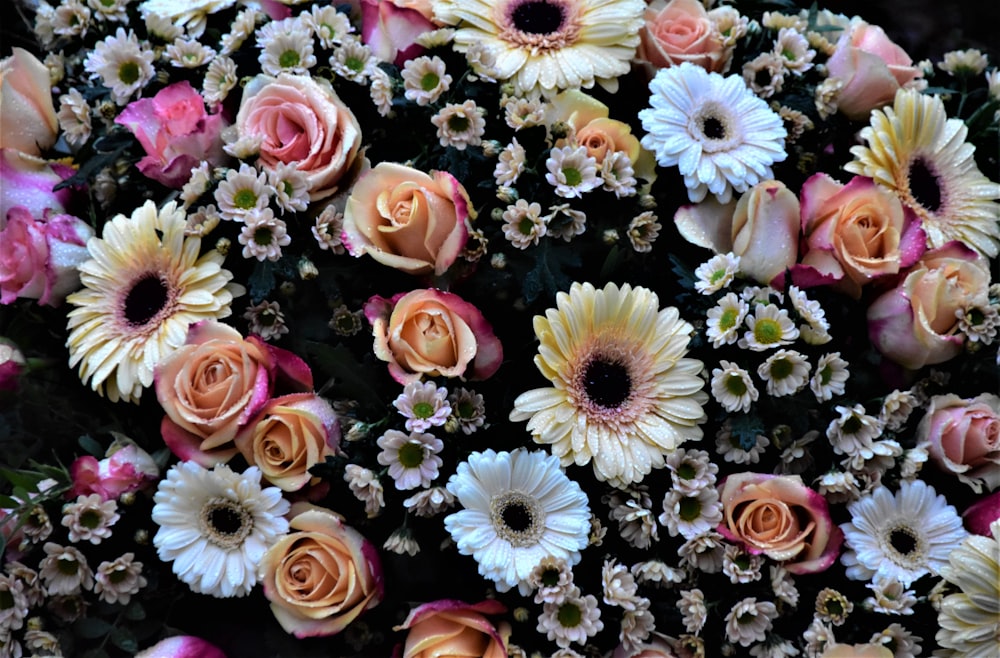 pink and white flowers on black textile