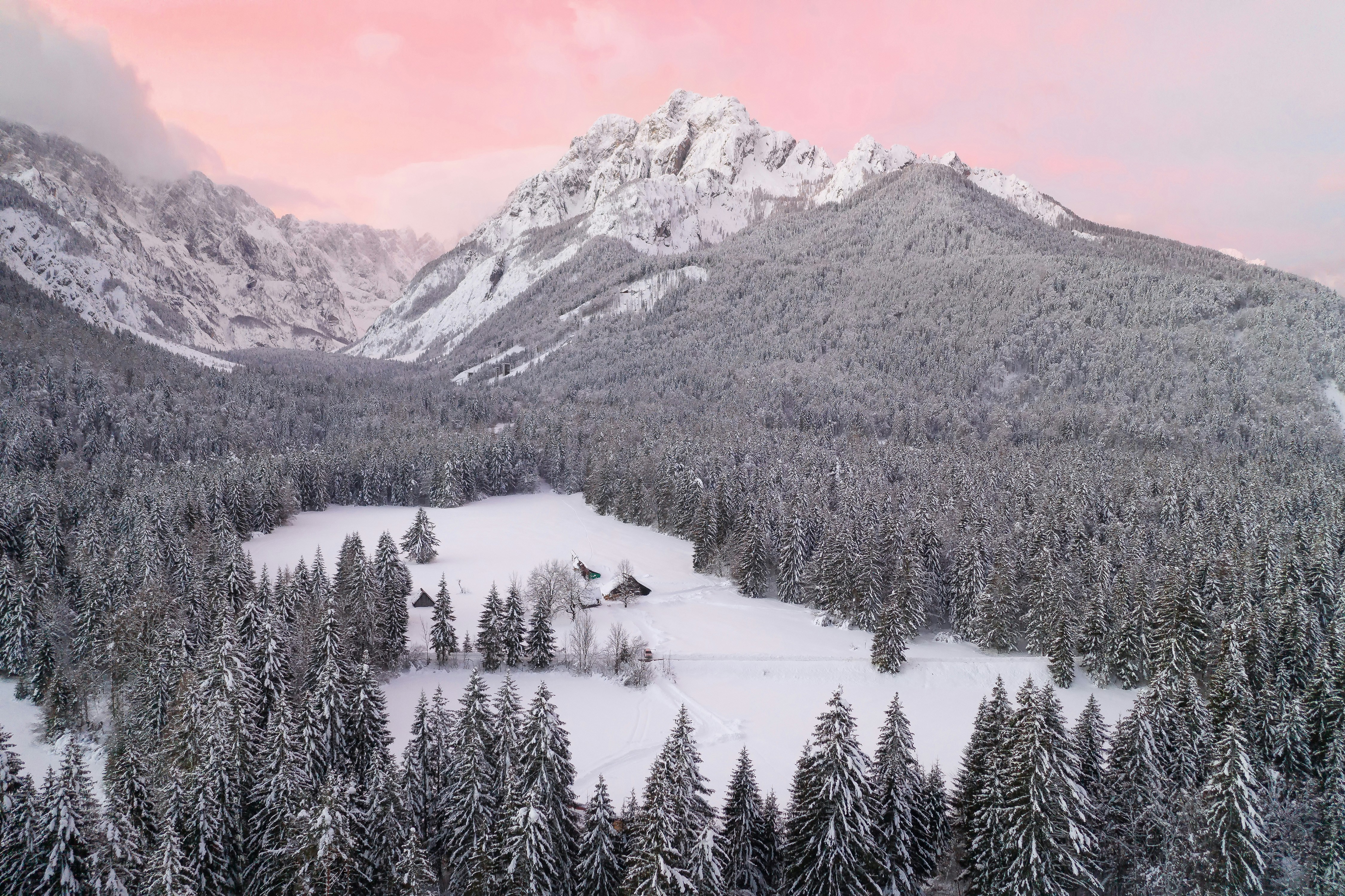 green pine trees near snow covered mountain during daytime