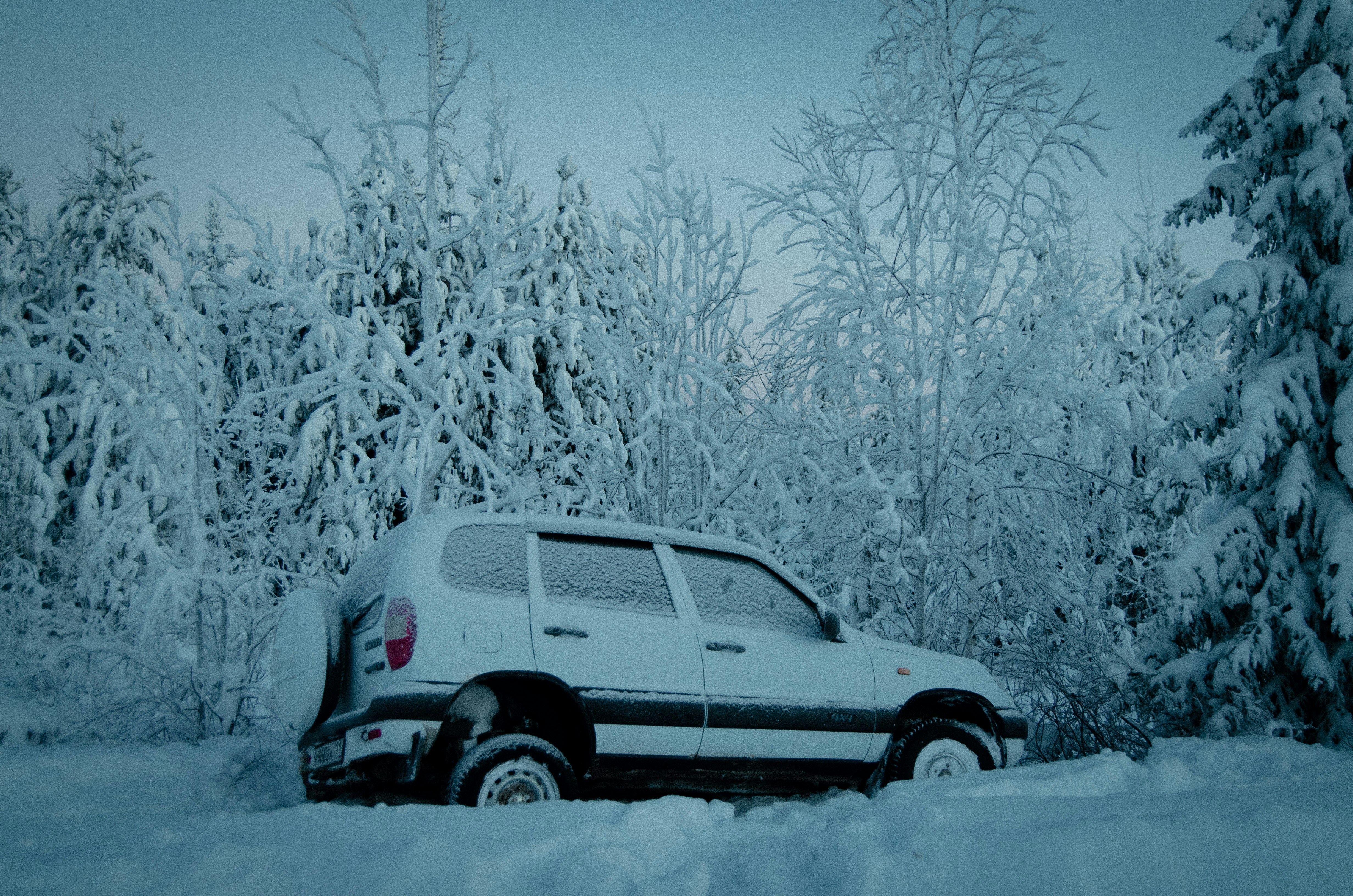 Photo by shklyaevmax