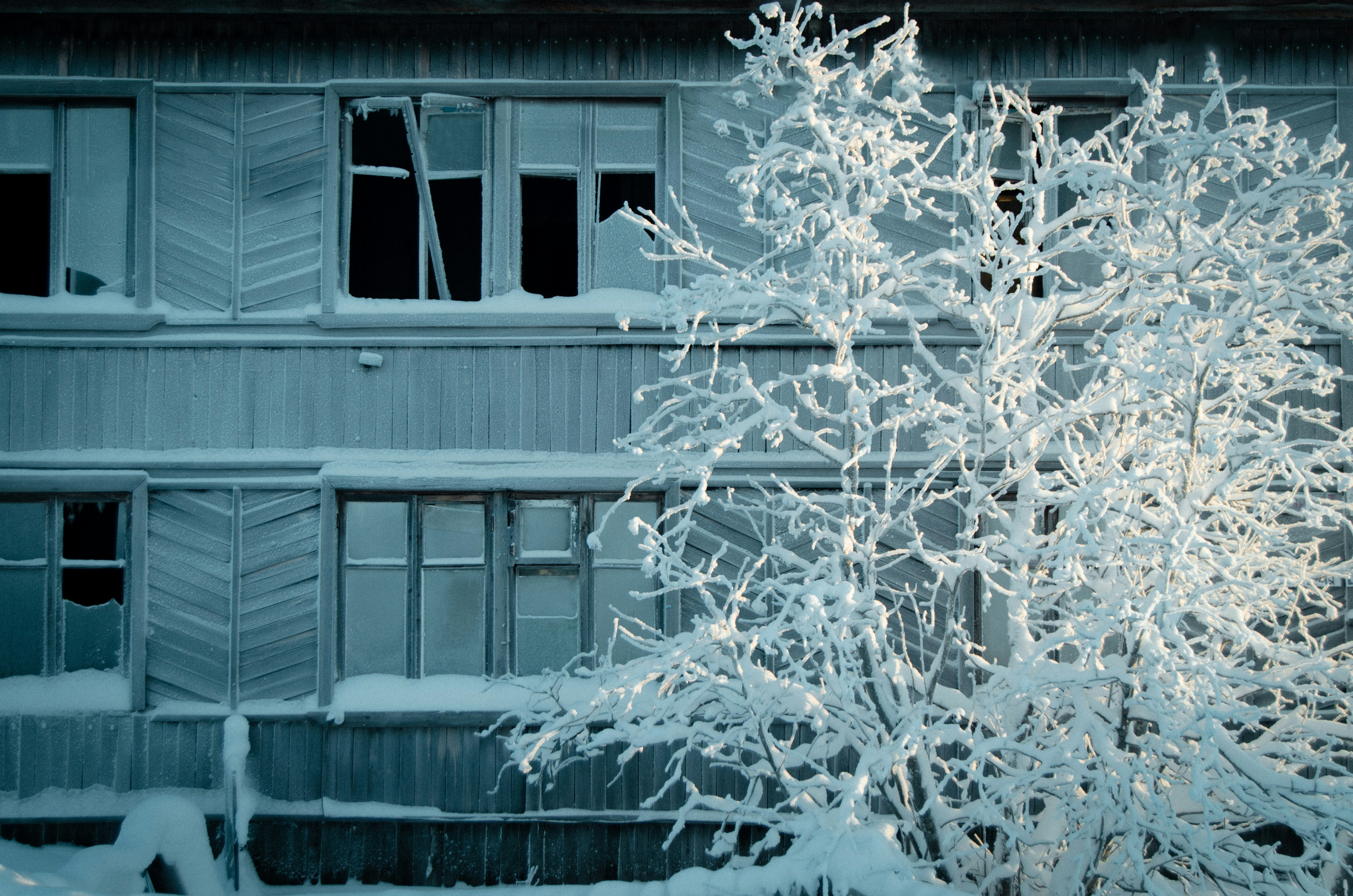 Photo by shklyaevmax