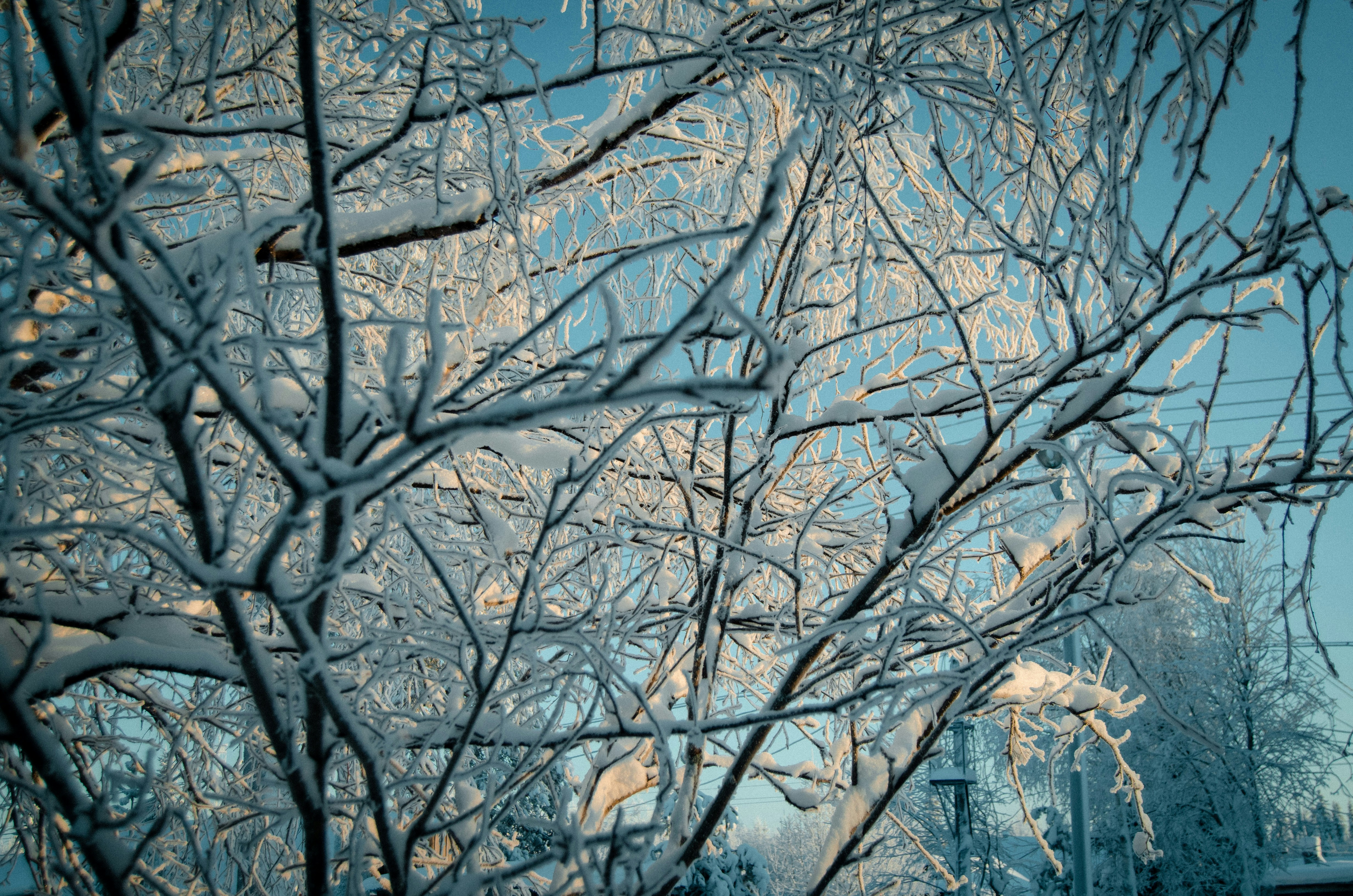 Photo by shklyaevmax