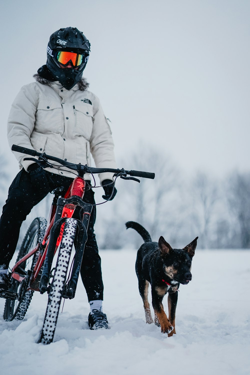 person in white jacket riding on red and white snow ski board