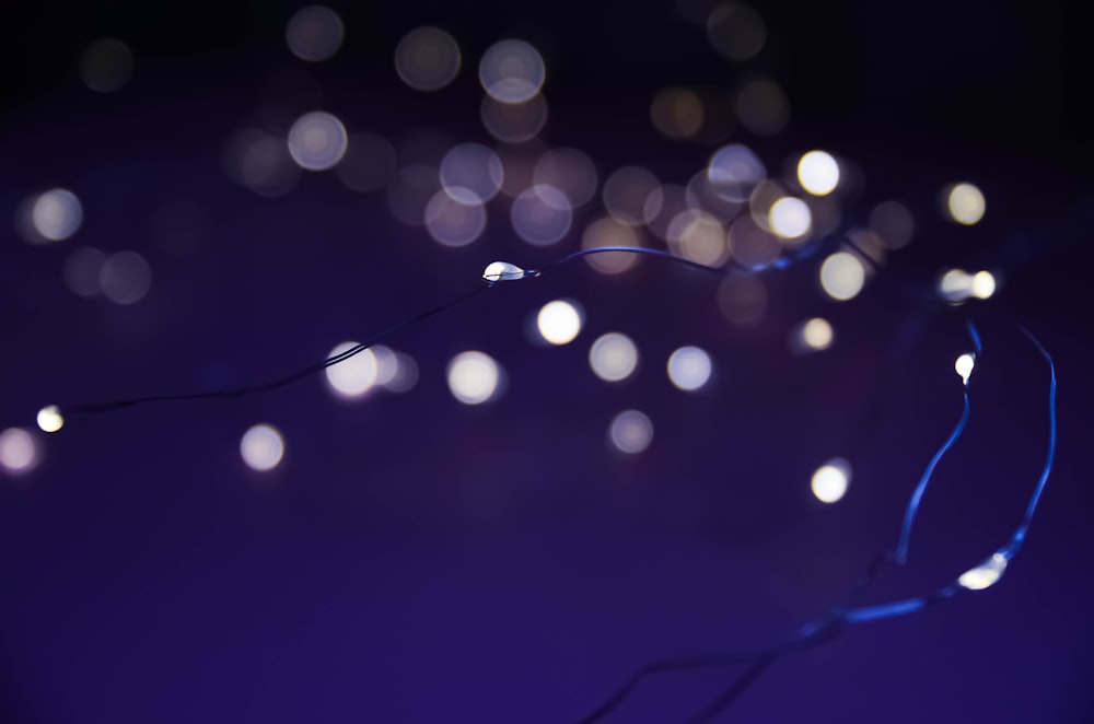 blue and white light bokeh