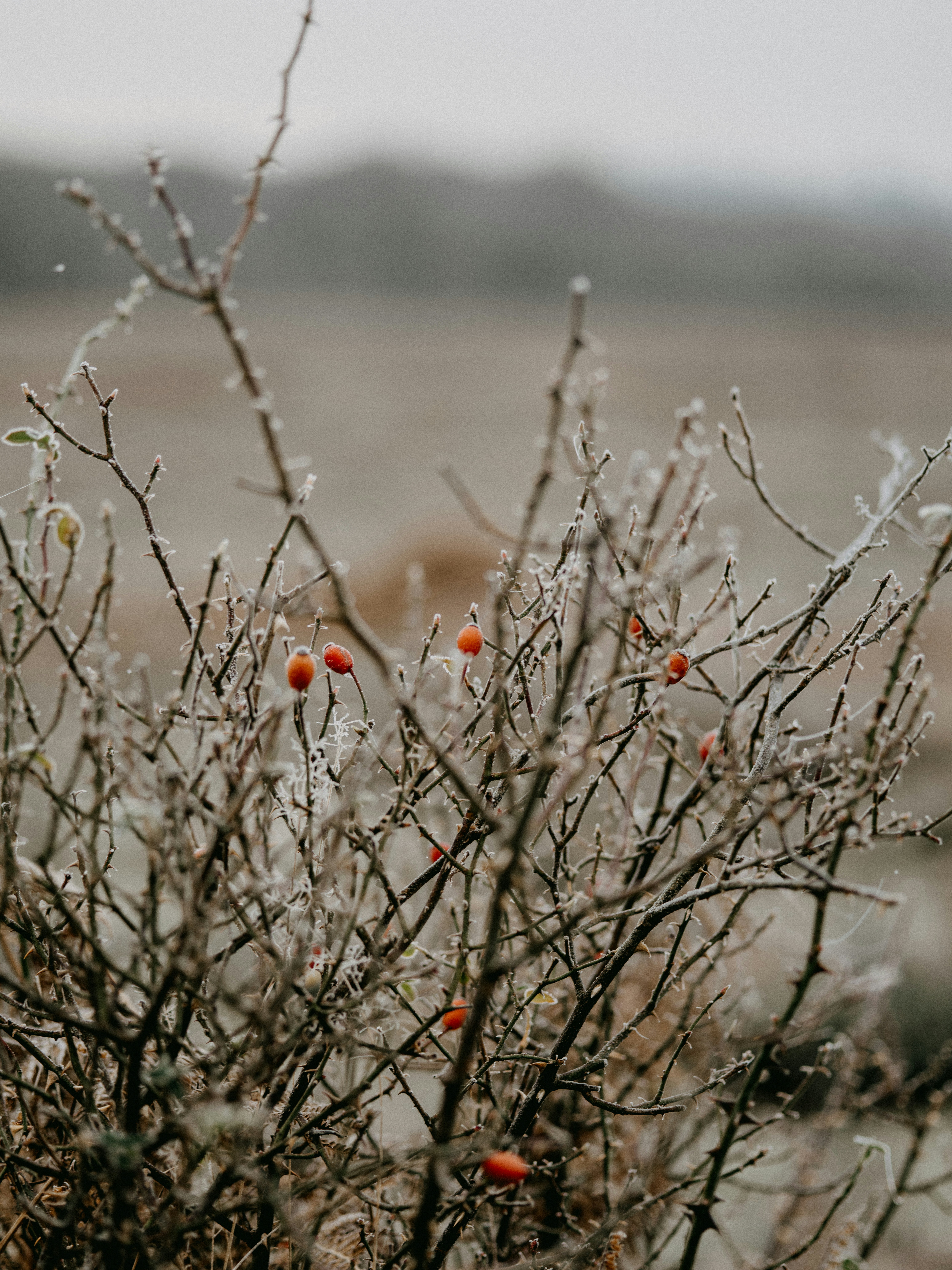 Photo by anniespratt