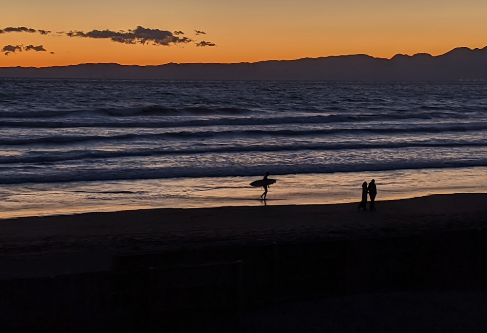 silhouette of 2 people standing on beach during sunset