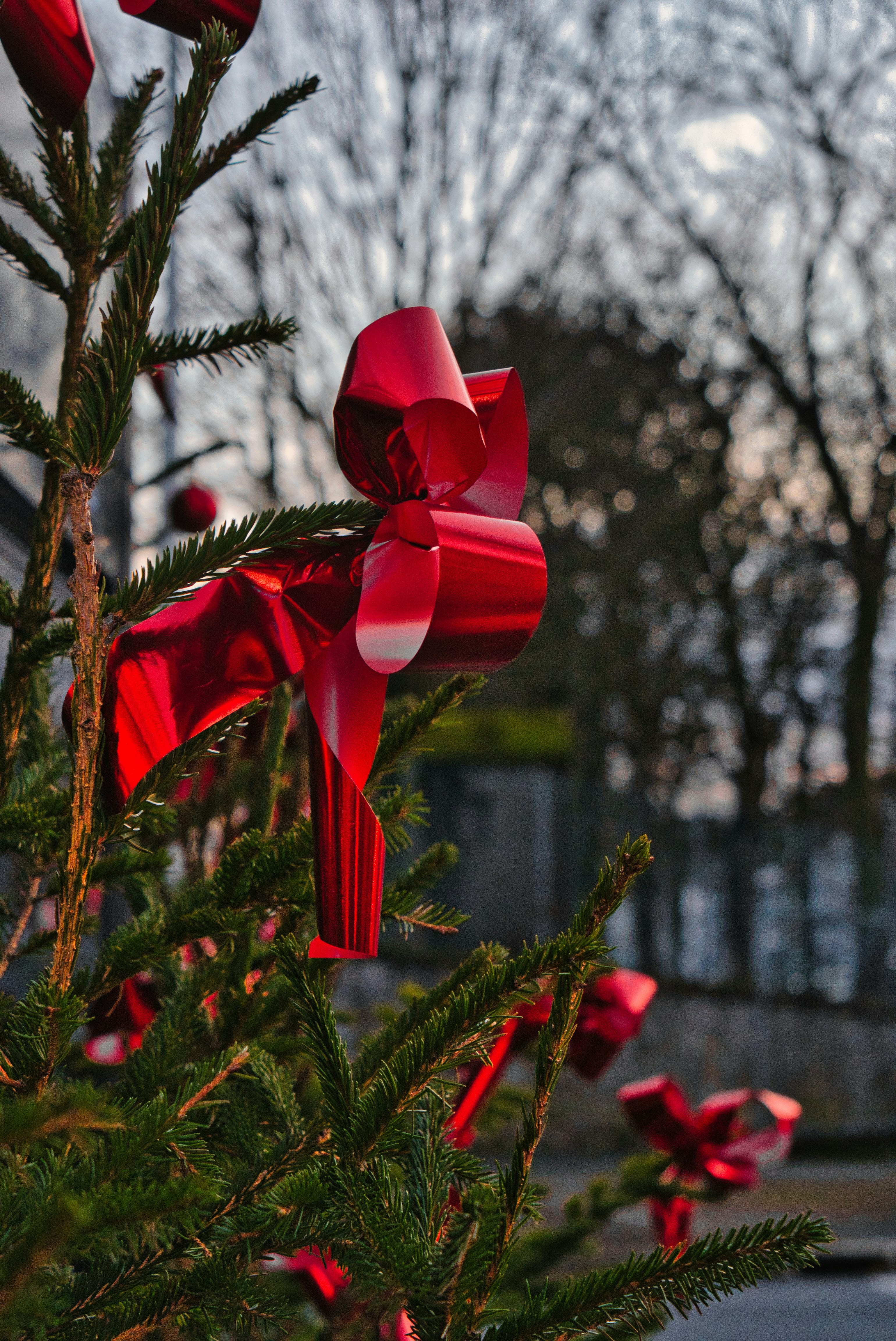 red ribbon on green pine tree- christmas party theme