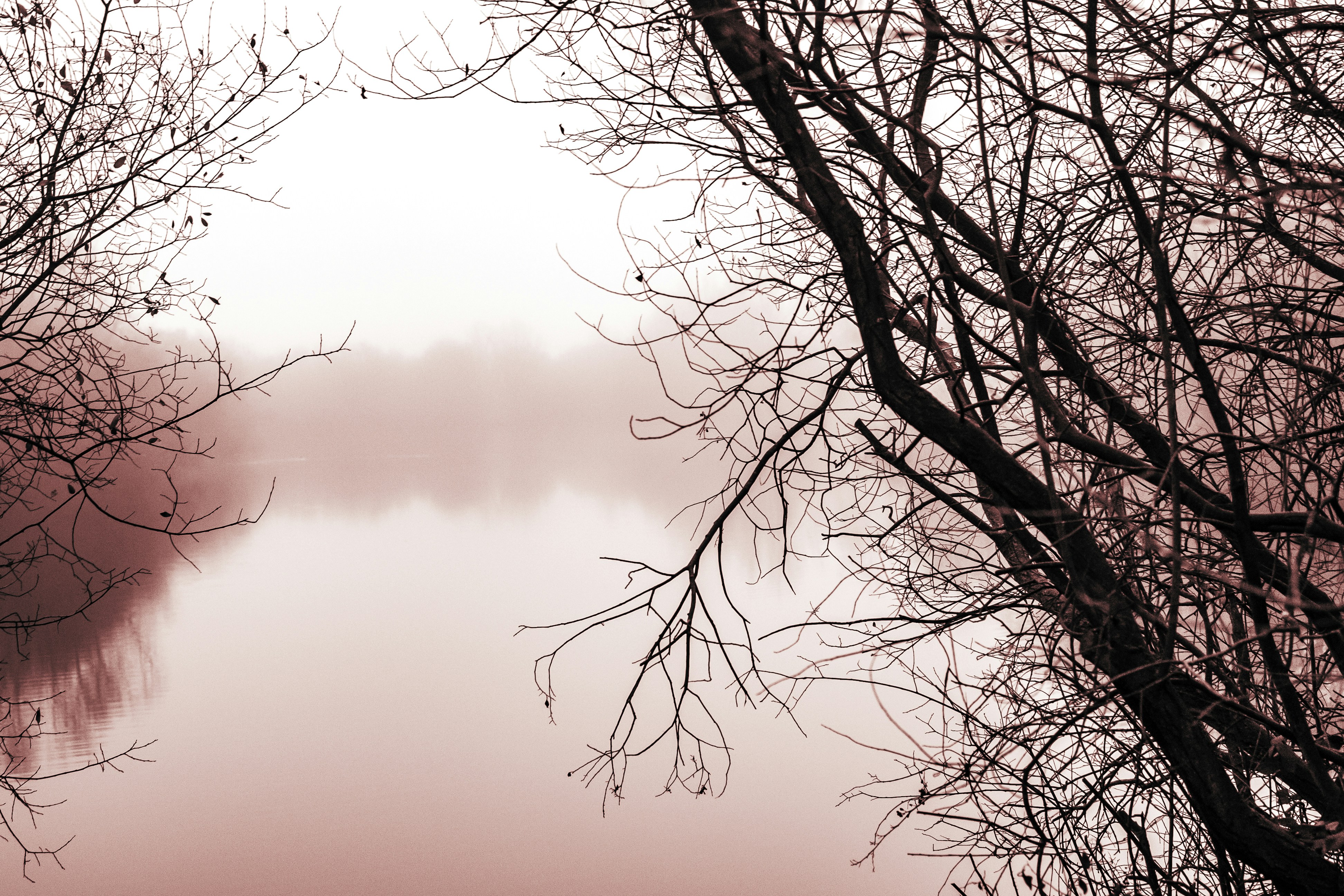 Photo by grievek1610begur