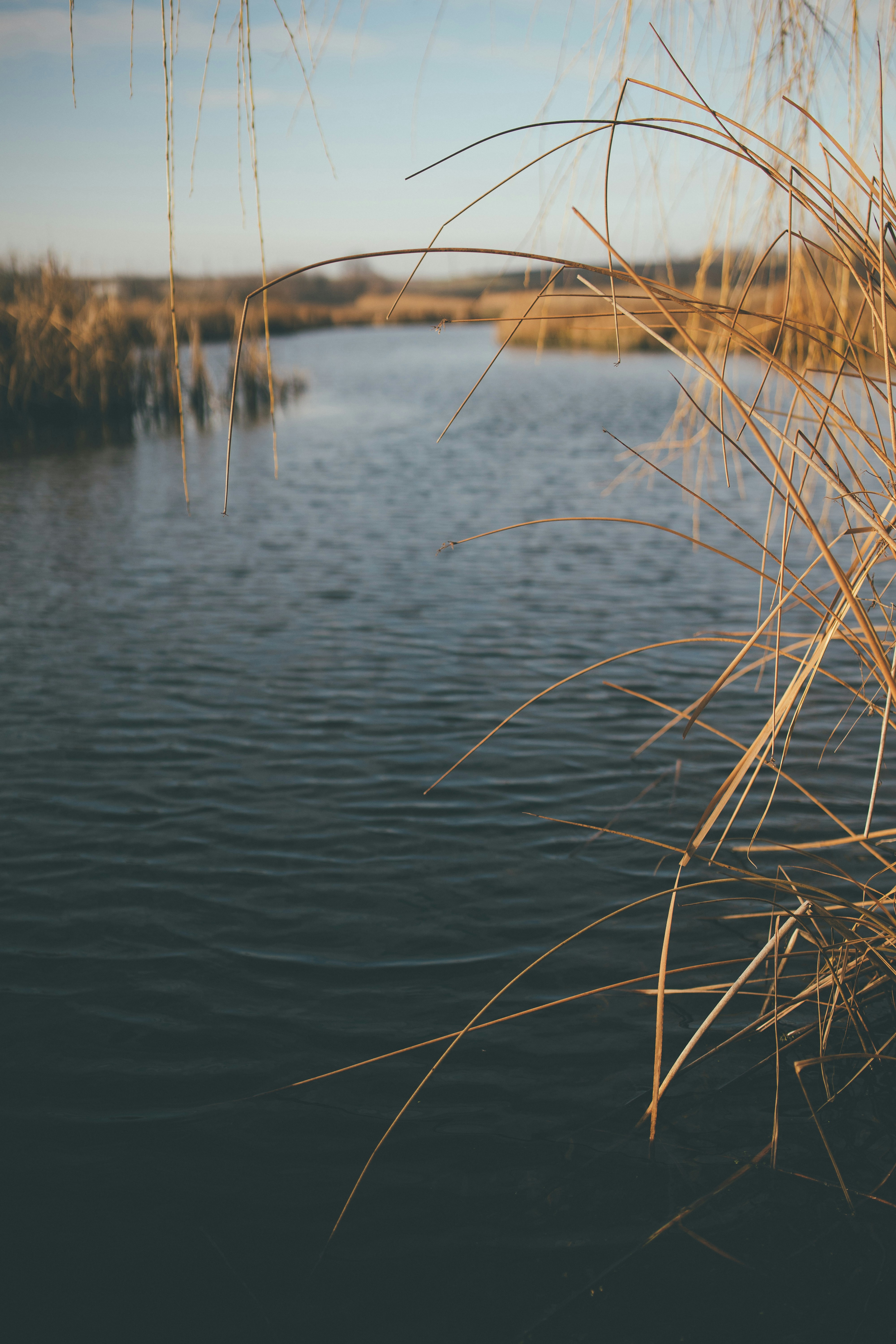 Photo by onmywayhome