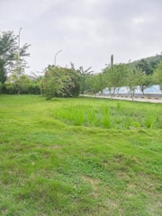 A lush, green park area with well-maintained grass and a variety of trees lining the background. There are some red flowers visible on the bushes, and a pathway or road runs beside the grass with streetlamps and barriers. The sky appears overcast, contributing to a serene ambiance.