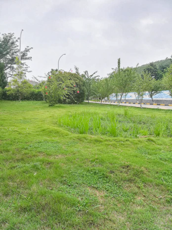 Green zones with trimmed grass and trees enhancing the natural beauty of the area