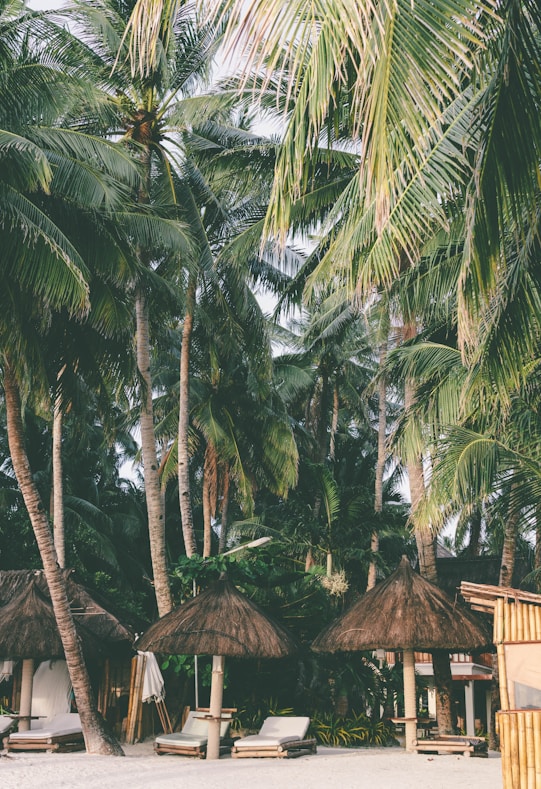 brown wooden hut surrounded by green palm trees
