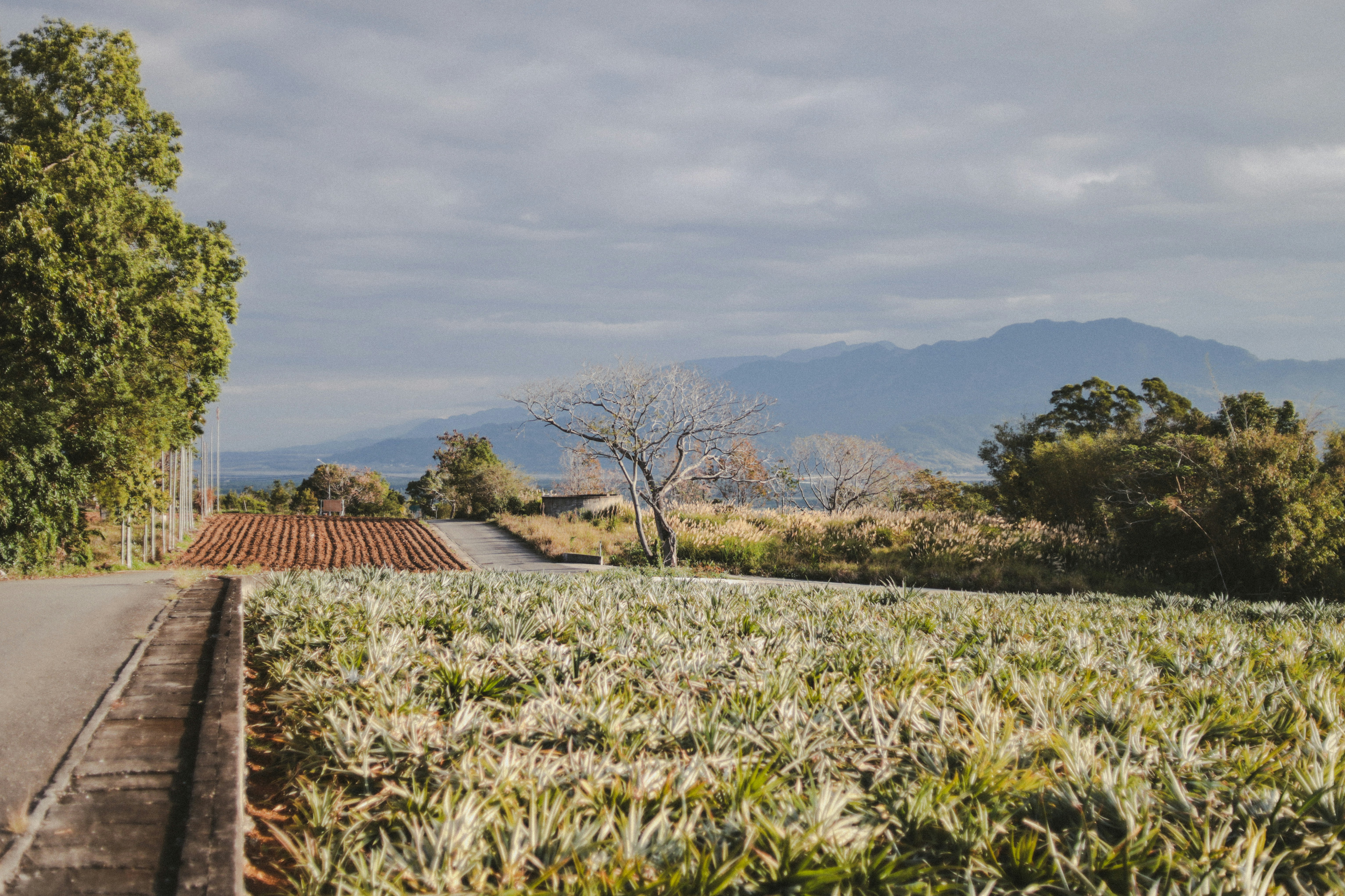 Photo by live_for_photo