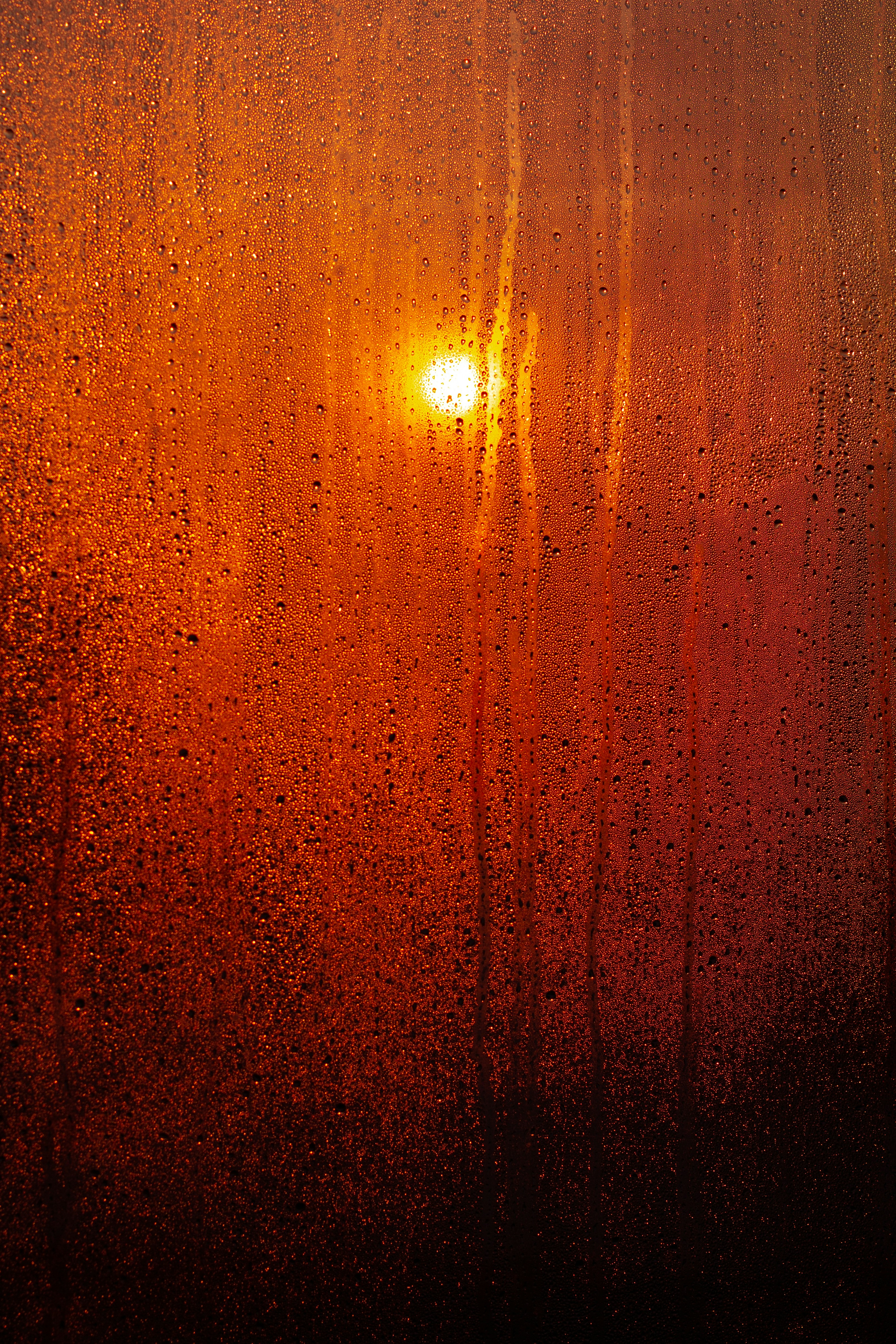 brown and black floral textile