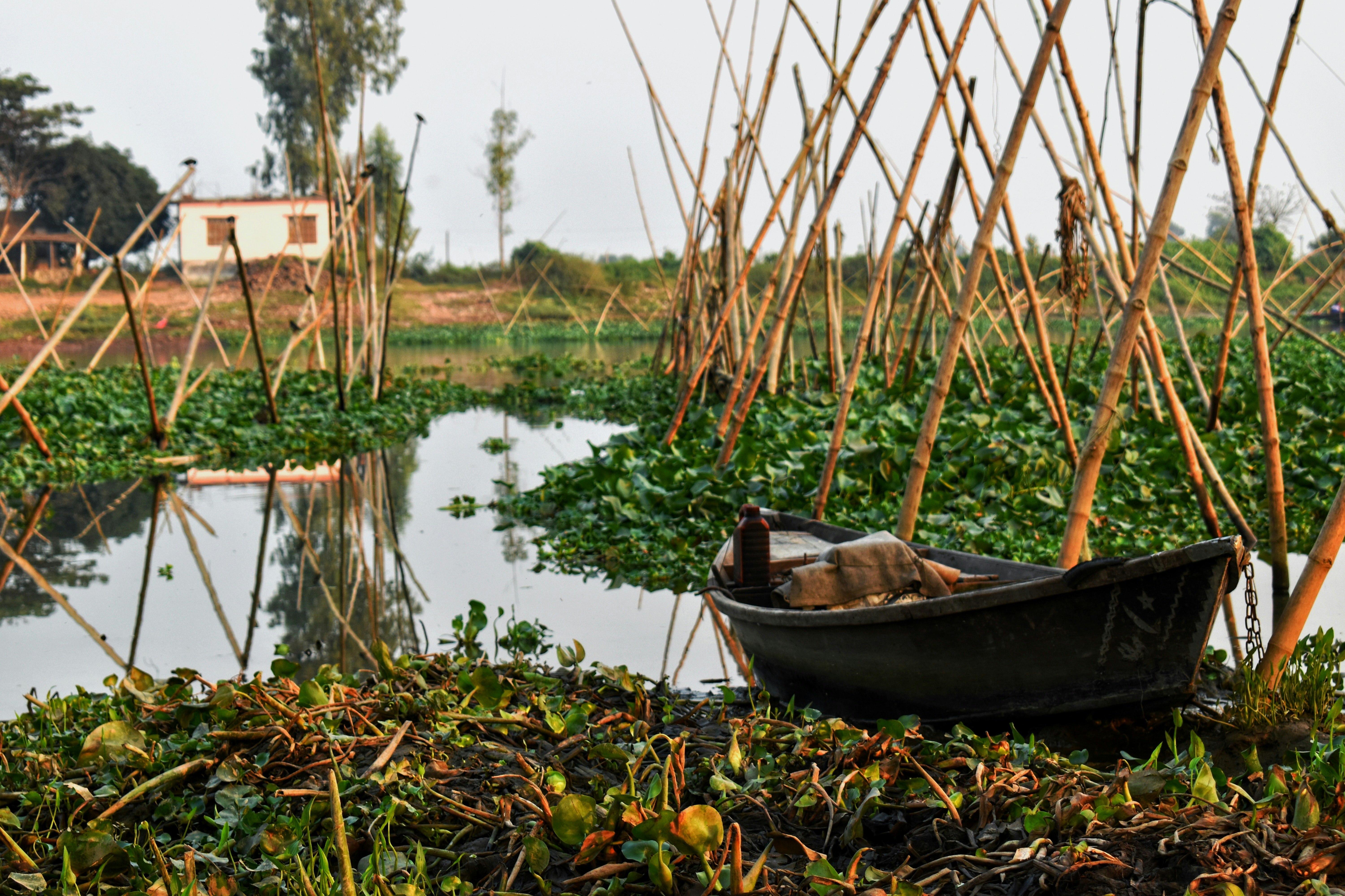 Photo by istiak_h_bhuiyan