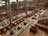 The interior of a modern library with rows of wooden desks and computer stations, surrounded by tall, concrete pillars under a high ceiling. There are multiple levels visible, filled with bookshelves and study areas. A few people are seated and working while some are walking along the aisles.