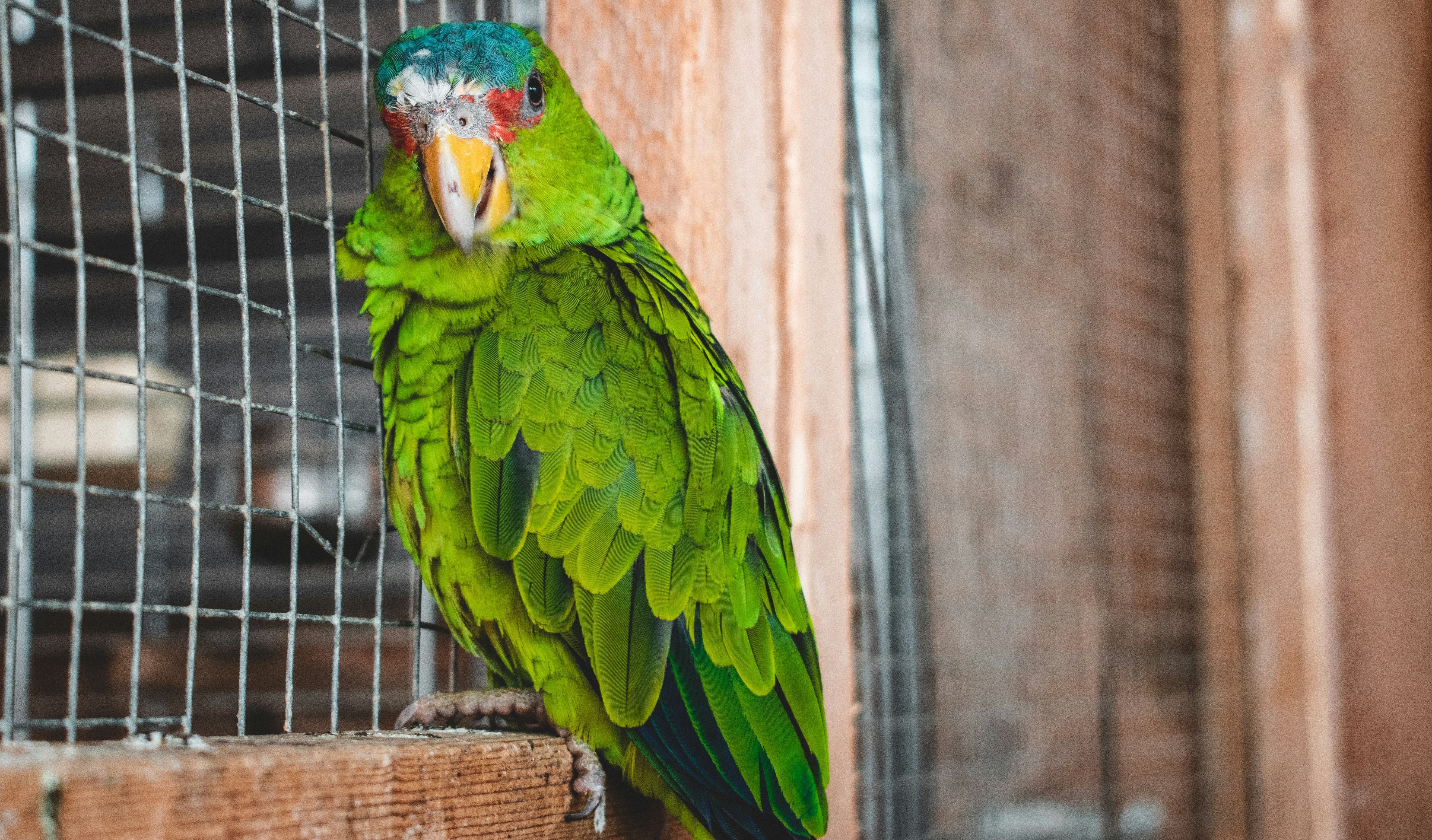 Photo by mikulecmichal