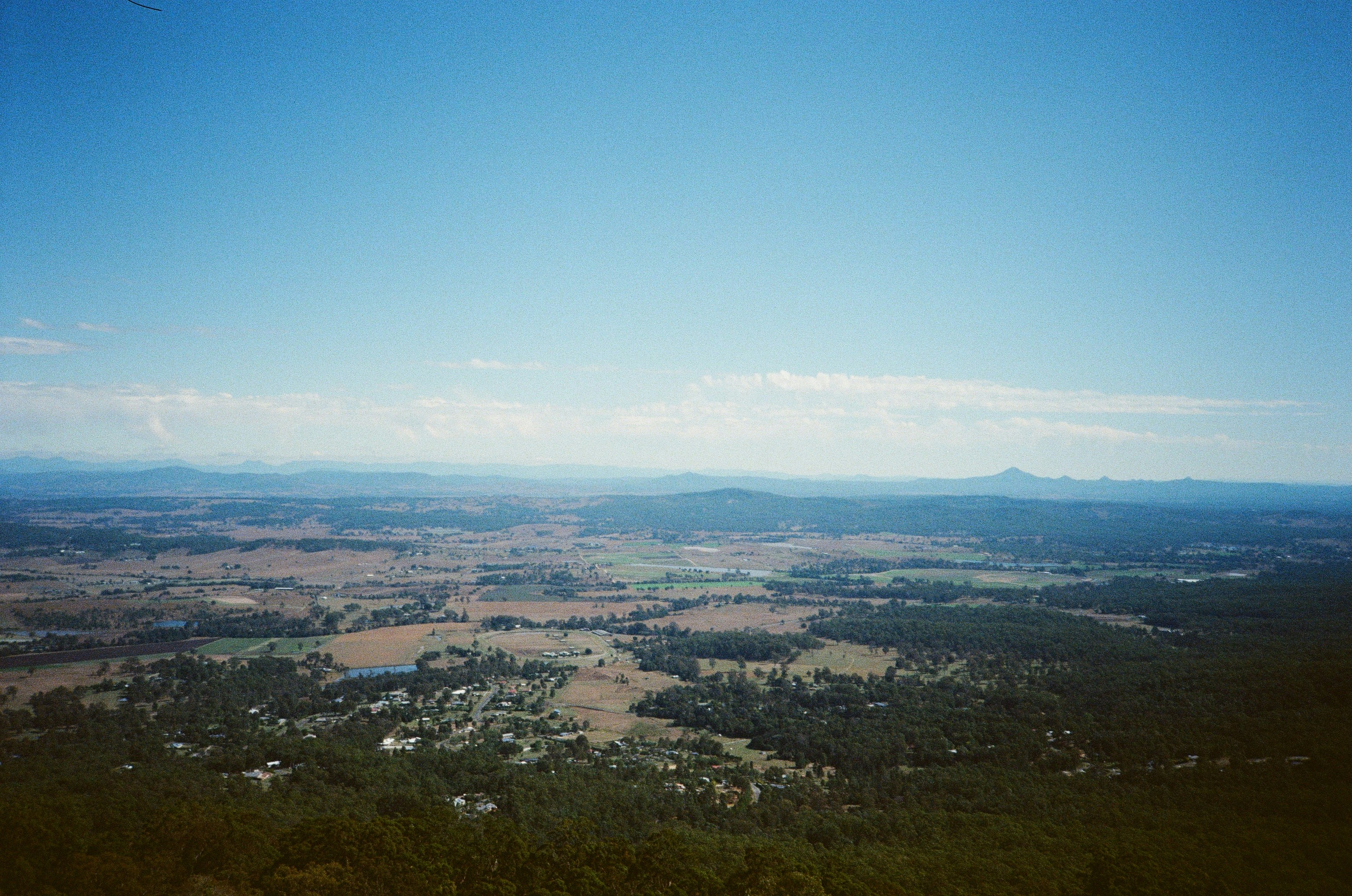 Aerial view of green trees and mountains during daytime photo Free