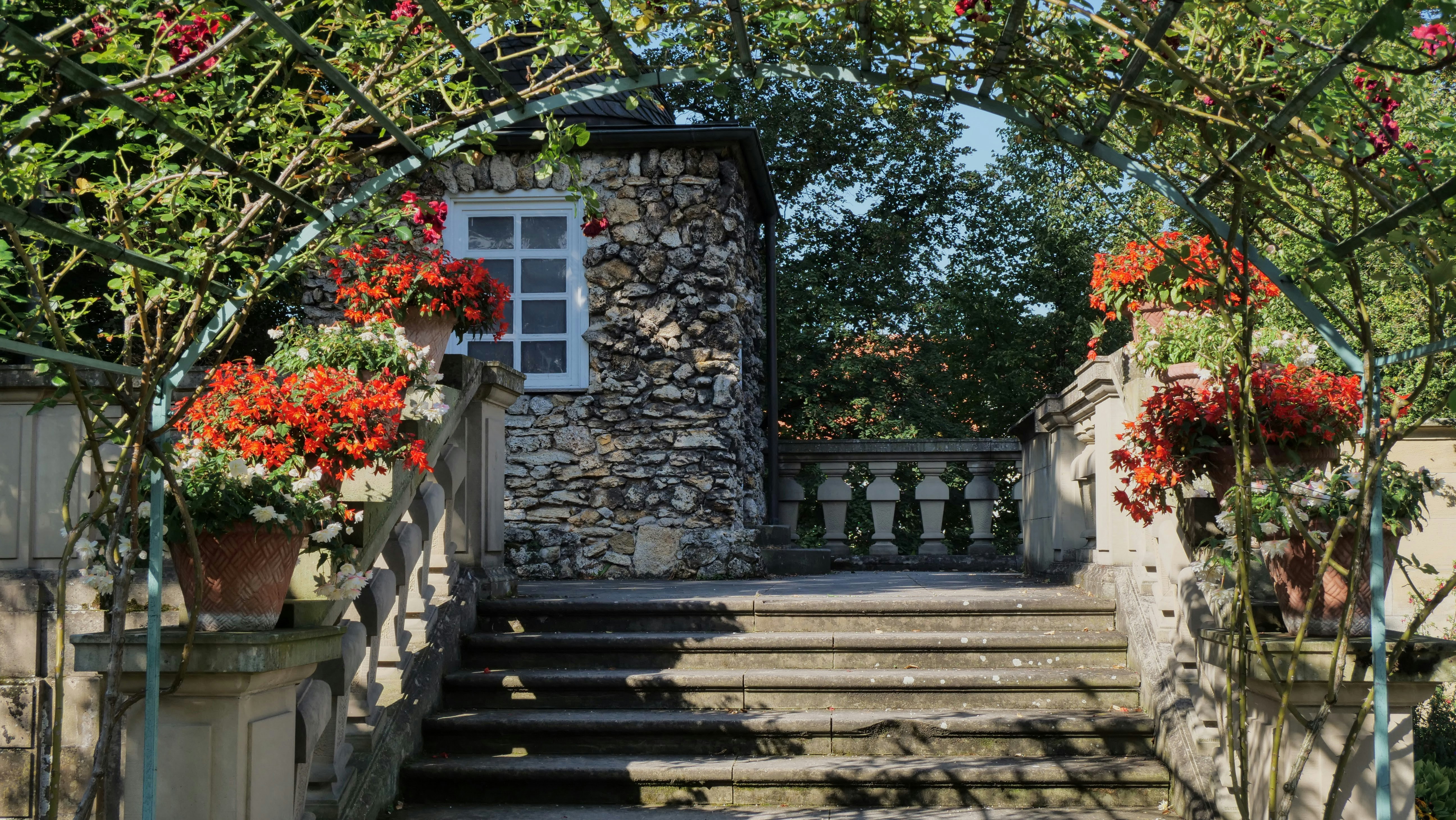 Photo by stefanmplus