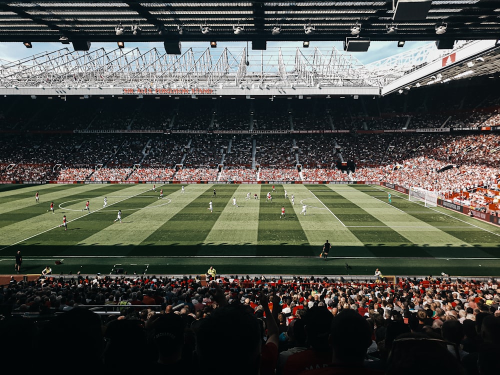 350 Manchester United Pictures Download Free Images On Unsplash