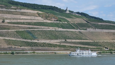 A scenic landscape features terraced vineyards on a hillside, overlooking a river. A white cruise boat sails along the water in the foreground. Lush greenery and a few trees are visible, with a building or monument located at the top of the hill.