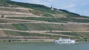 A sunlit cruise along the Douro River, surrounded by terraced vineyards.