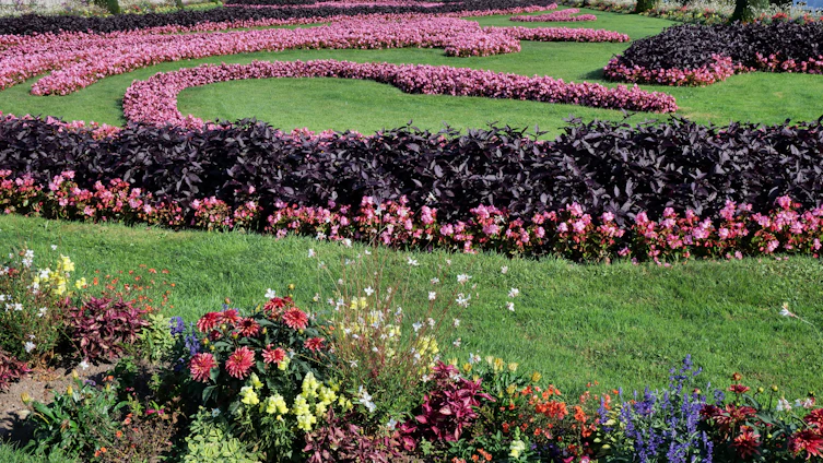 A beautifully landscaped garden in a Riyadh villa with lush greenery and colorful flowers.