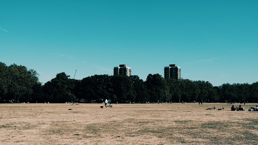 people playing soccer on field during daytime