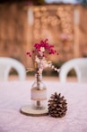 pink and white flowers in clear glass vase on white table