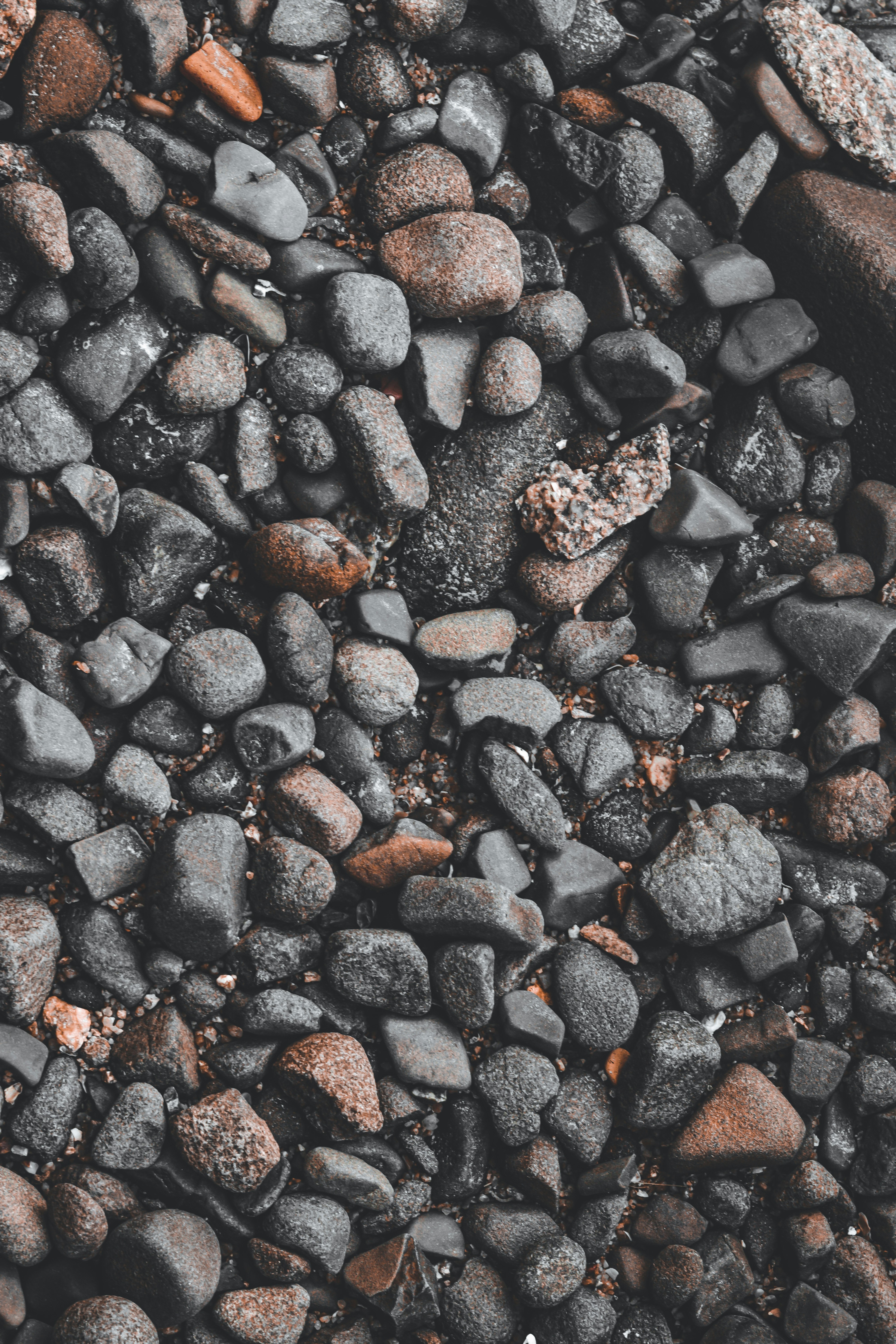 Photo by gabrielfotos