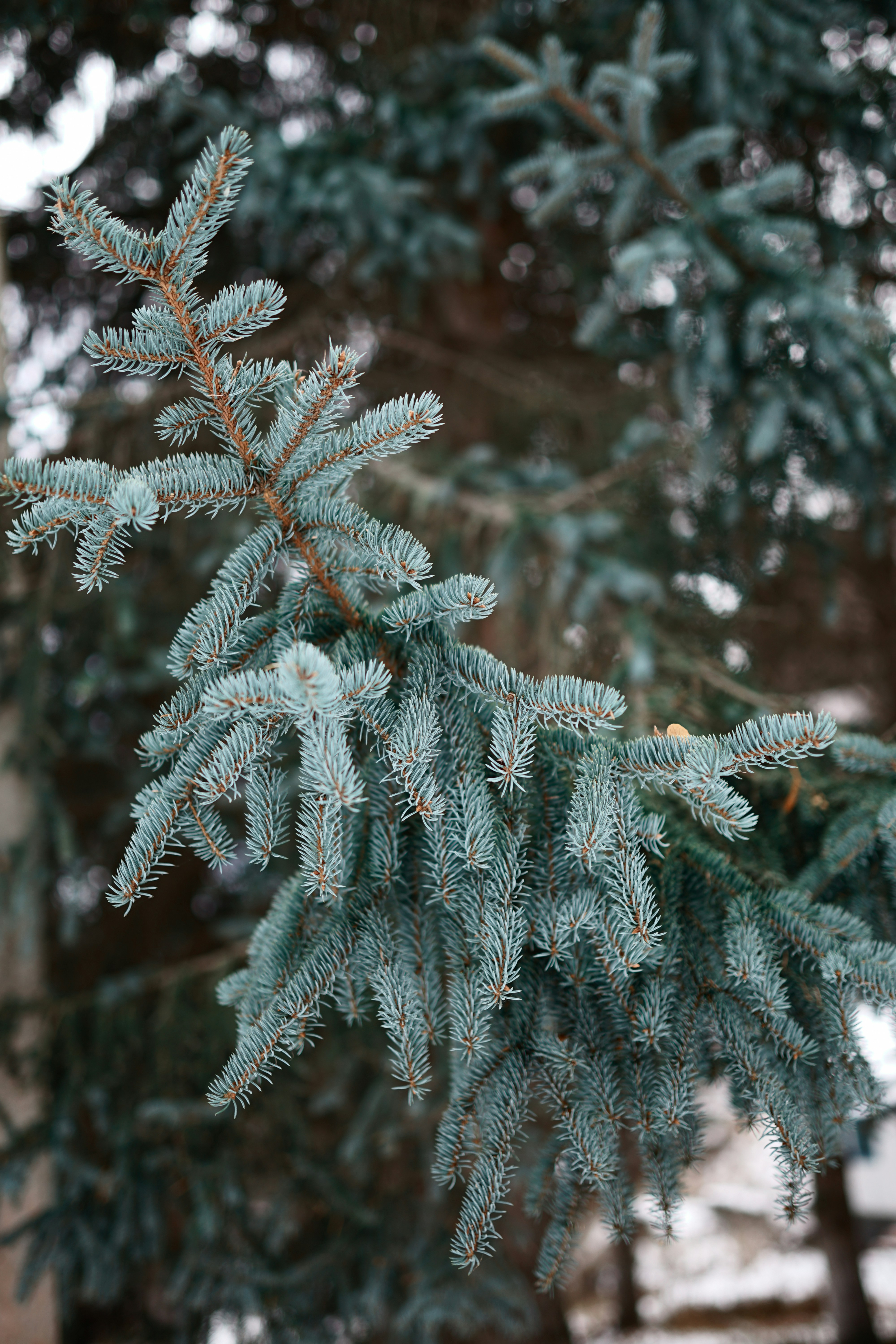 Photo by dudukalov_vl