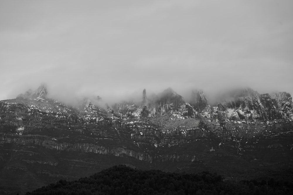 green trees on mountain during foggy day