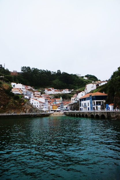 houses near river during daytime